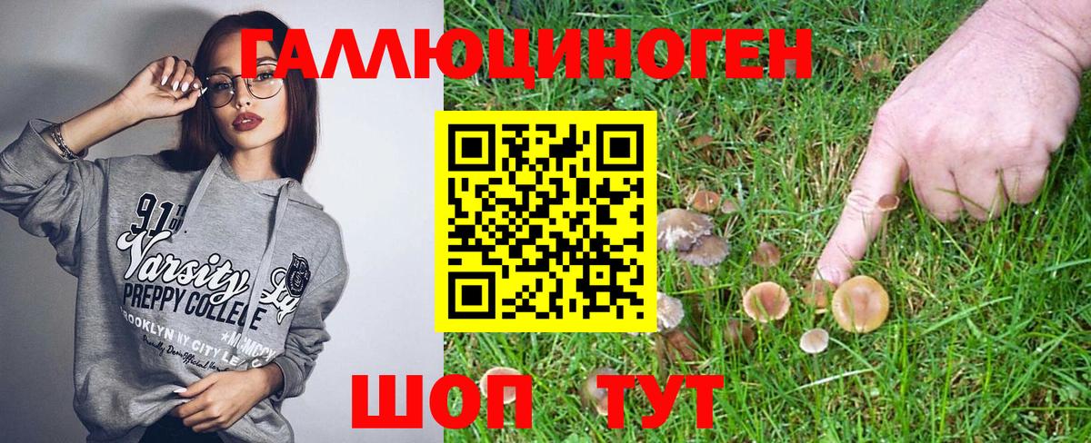 Галлюциногенные грибы Psilocybine cubensis Дивногорск