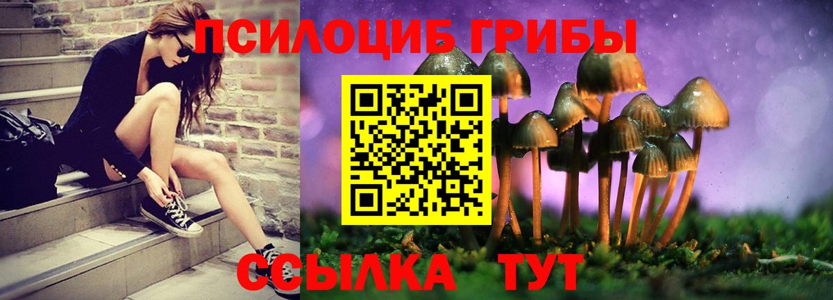 Галлюциногенные грибы Magic Shrooms  Галлюциногенные грибы ЛСД  Вход с VPN  Дивногорск 